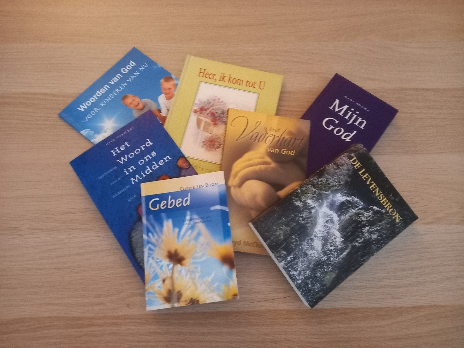 Collectie Christelijke Boeken - Diverse Titels, Boeken, Ophalen, Gelezen, Christendom | Katholiek
