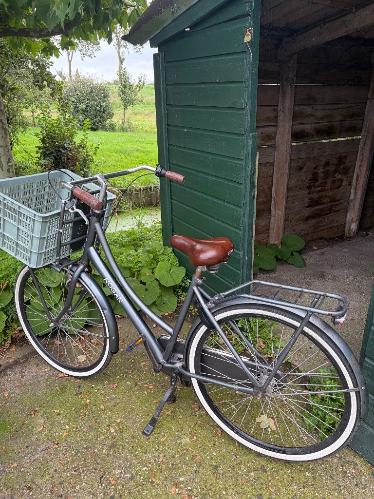 Nogan damesfiets met roestplekjes, Terugtraprem, Versnellingen, Ophalen, Overige merken