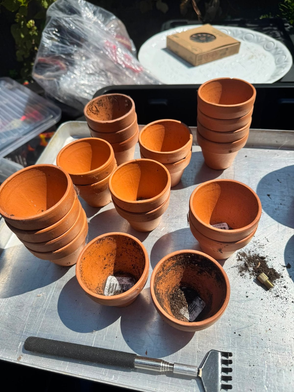 Kleine terracotta bloempotten, Ophalen, Rond, Terracotta, Binnen