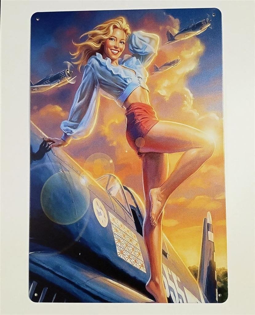 Sexy Airforce Pin up Retro metalen wandbord vliegtuig, Verzamelen, Militaria | Tweede Wereldoorlog, Verzenden, Amerika