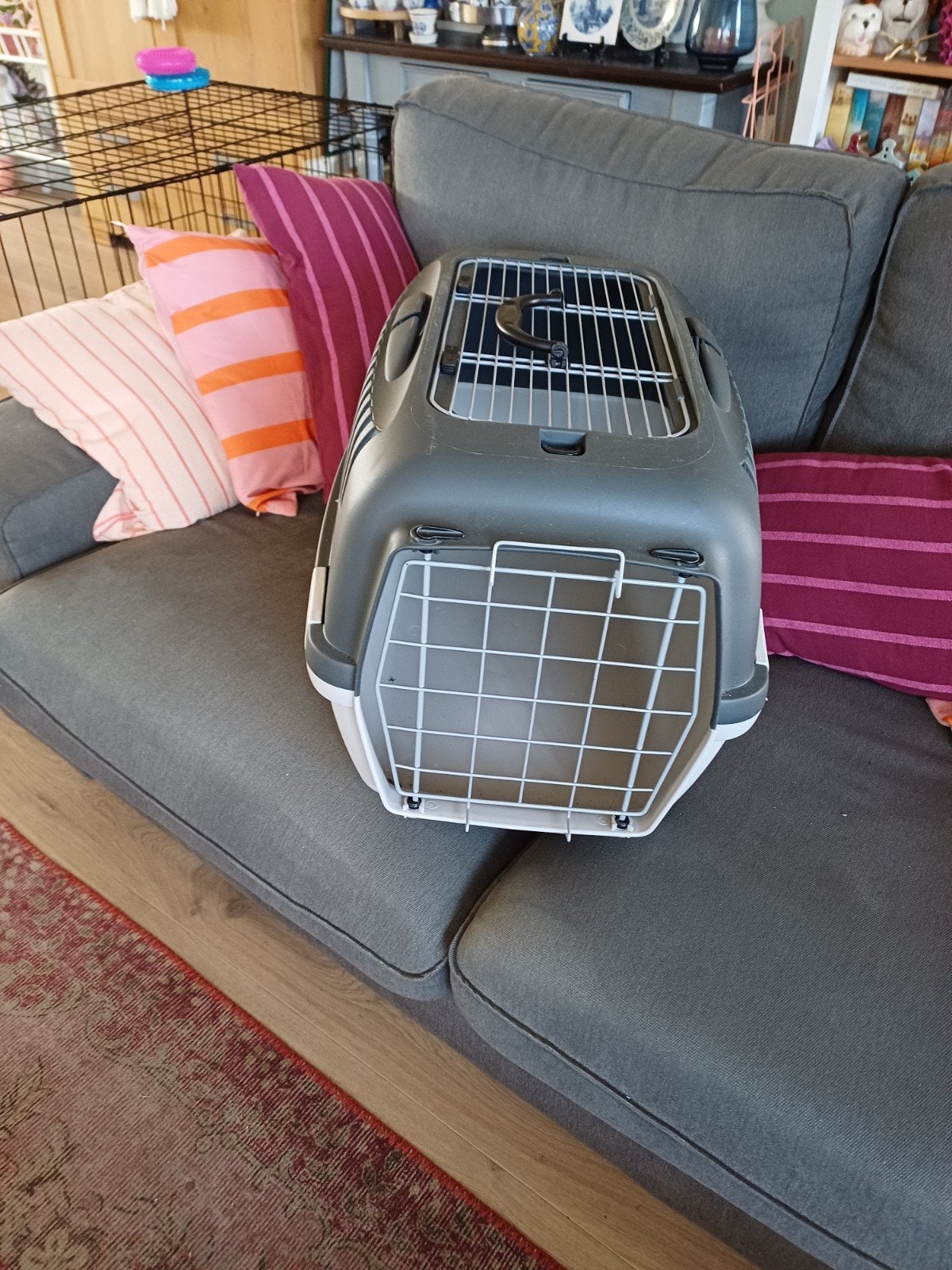 Transportbox voor hond of kat., Ophalen