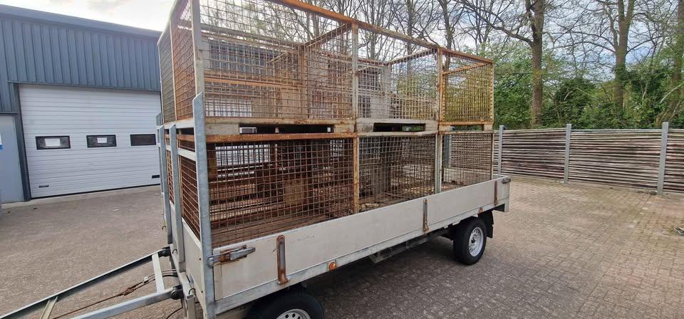 Tk gitterbox, gaascontainer db/eur zo uit het werk, Gebruikt, 100 cm of meer, 60 cm of meer, Ophalen of Verzenden