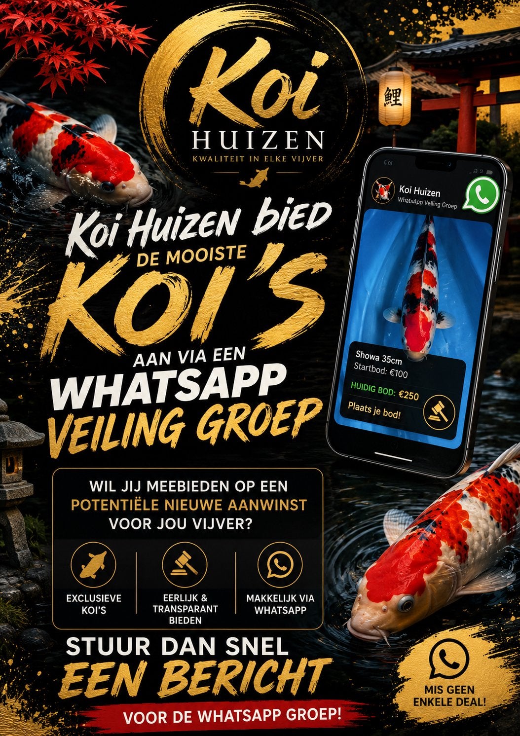 Koi, koi’s, vijvervissen, Dieren en Toebehoren, Vissen | Vijvervissen, Karper of Koi