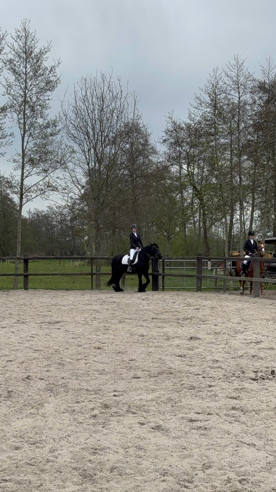 Bijrijder aangeboden!, Ophalen of Verzenden