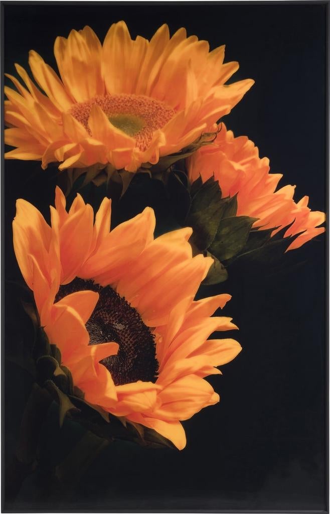 Schilderij zonnebloemen, Huis en Inrichting, Woonaccessoires | Schilderijen, Tekeningen en Foto's, Ophalen, Oorspronkelijke maker