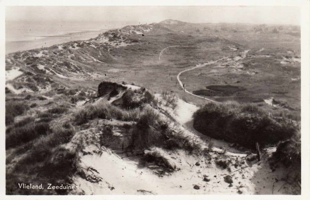 Vlieland   -   Zeeduinen                            =0003=, Ophalen of Verzenden, 1940 tot 1960, Ongelopen, Waddeneilanden