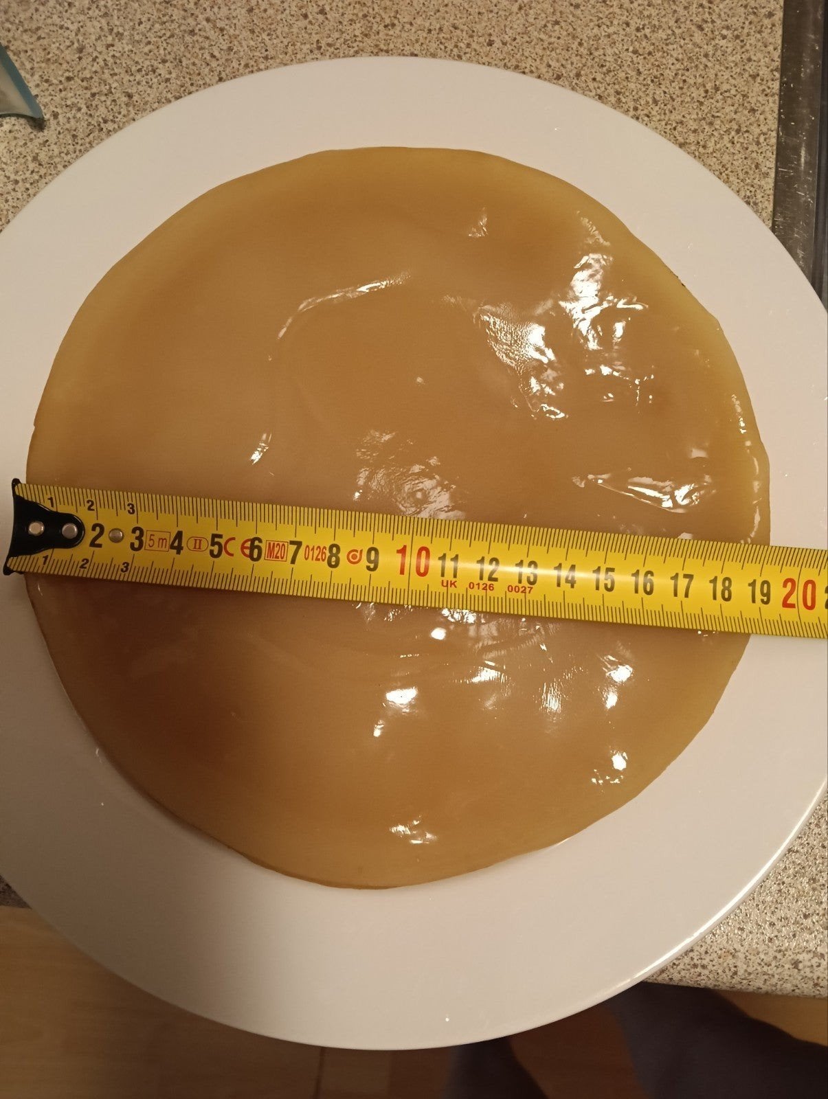 Bio grote actieve  SCOBY moeder om zelf  Kombucha te maken, Ophalen of Verzenden