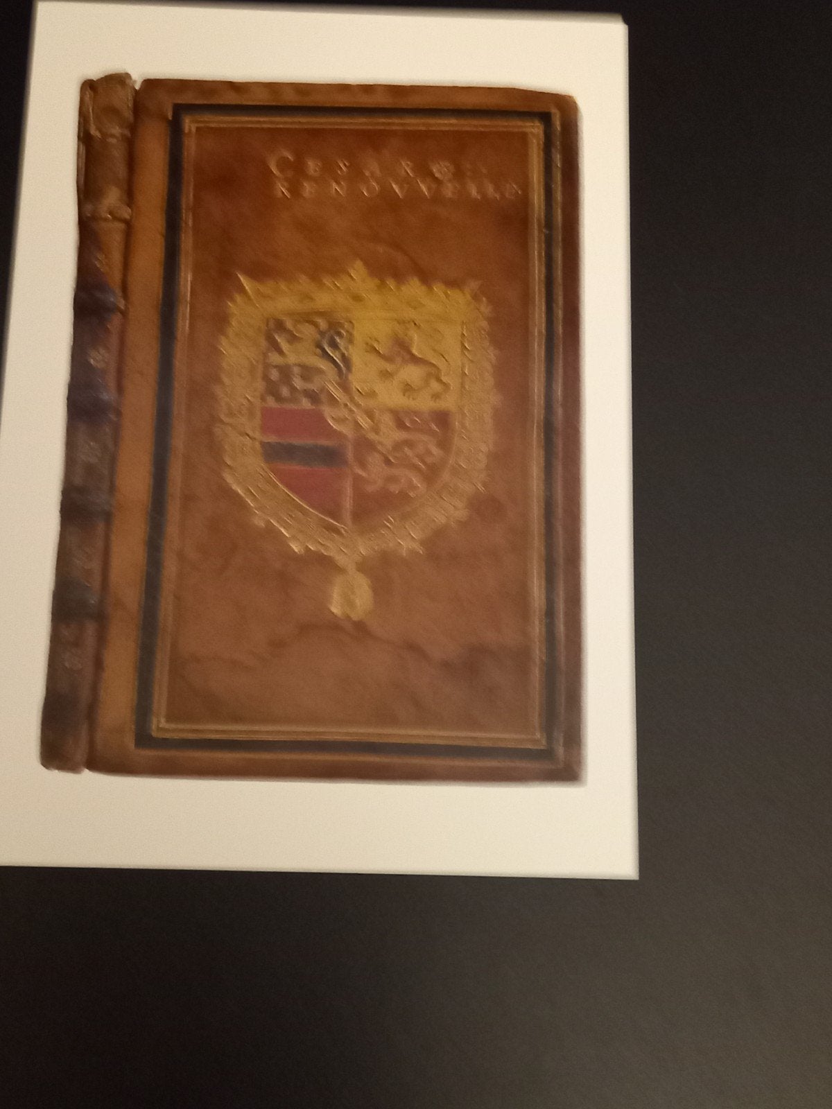 Kunstkaart  boekhandel wapen Willem van Oranje, Verzenden, Ongelopen