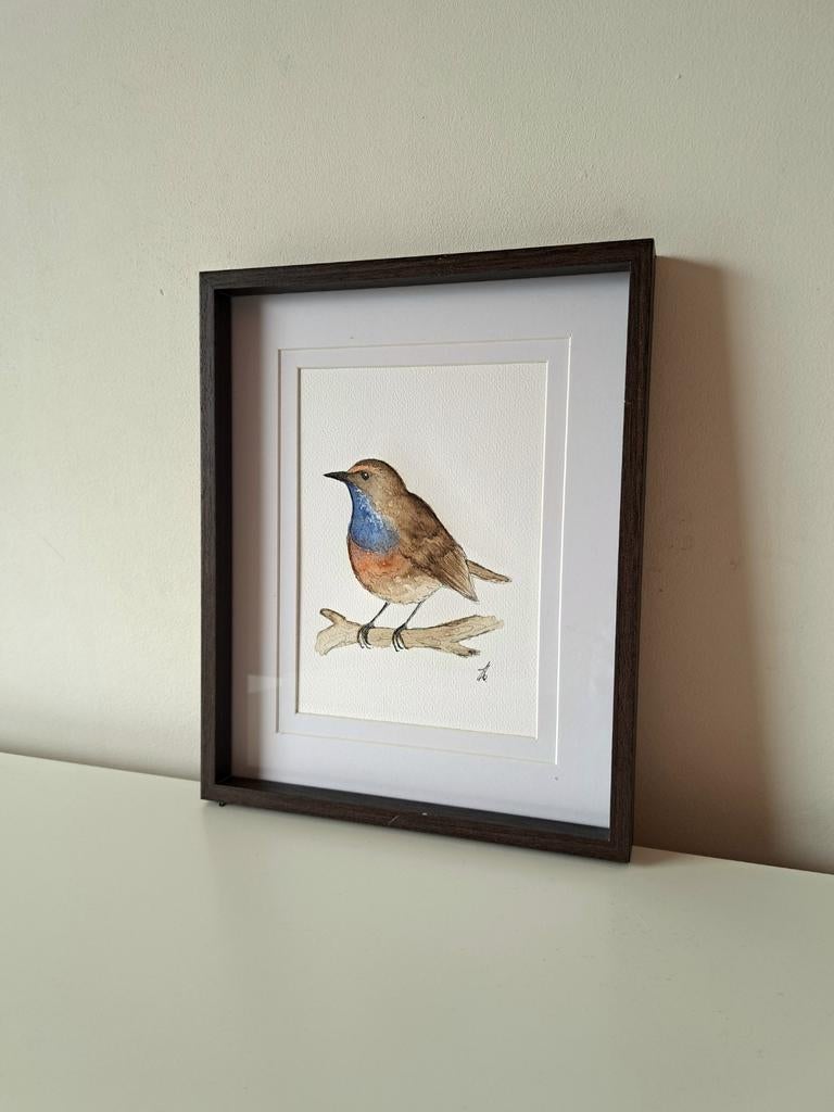 Aquarel schilderij Blauwborst | In lijst, Minder dan 50 cm, Nieuw, Ophalen of Verzenden, Minder dan 50 cm