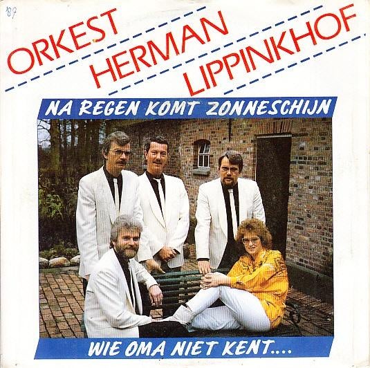 orkest herman lippinkhof - na regen komt zonneschijn (1987), Cd's en Dvd's, Vinyl Singles, Gebruikt, 7 inch, Ophalen of Verzenden
