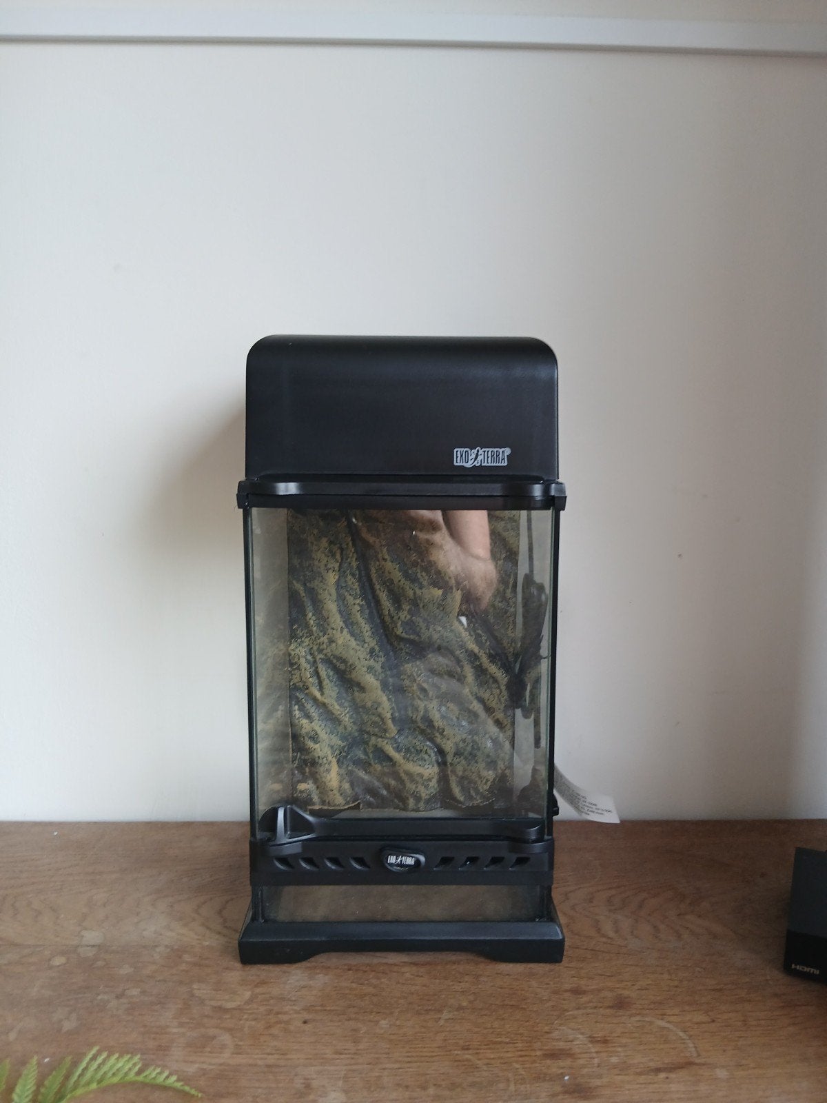 Exo terra nano terrarium 20 x 20 x 30 ongebruikt., Spin of Schorpioen