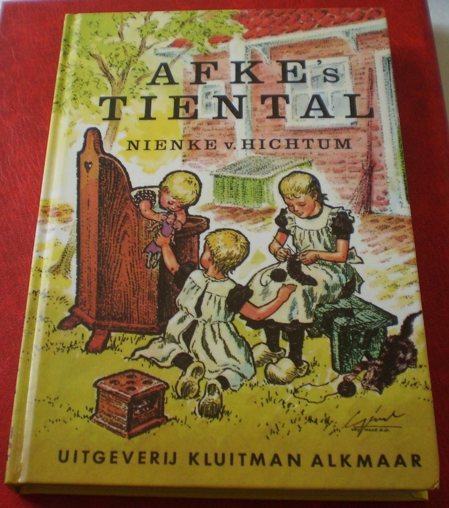 Afkes Tiental - Nienke van Hichtum - Hardcover, Ophalen of Verzenden, Zo goed als nieuw, Nienke van Hichtum, Fictie algemeen