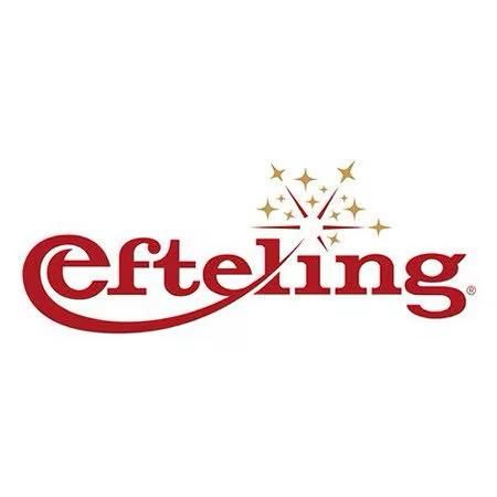 1 Efteling kaartje, Tickets en Kaartjes, Eén persoon, Overige soorten, Pretpark