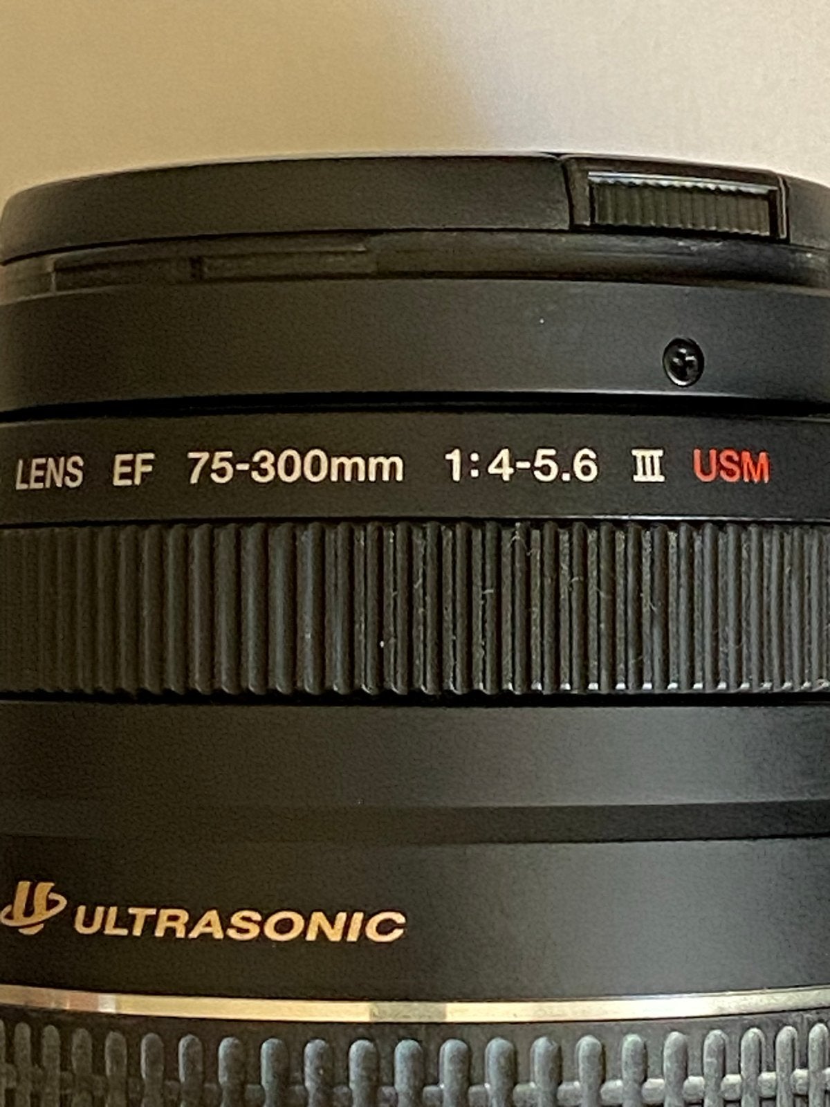 Canon EF 75-300mm f/4-5.6 III USM Telelens met zonnekap, Audio, Tv en Foto, Fotografie | Lenzen en Objectieven, Gebruikt, Canon