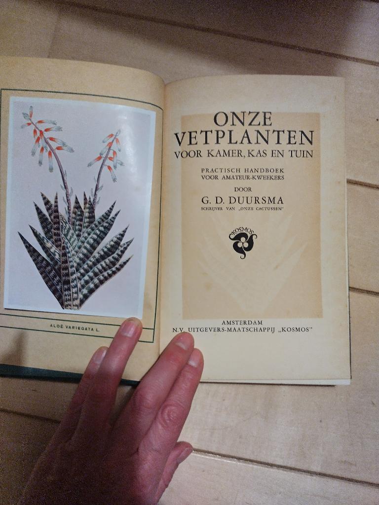 Onze vetplanten voor kamer, kas en tuin, Ophalen of Verzenden, Zo goed als nieuw, Tuinieren en Tuinplanten