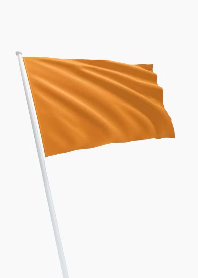 Oranje vlag, Diversen, Vlaggen en Wimpels, Ophalen of Verzenden, Nieuw