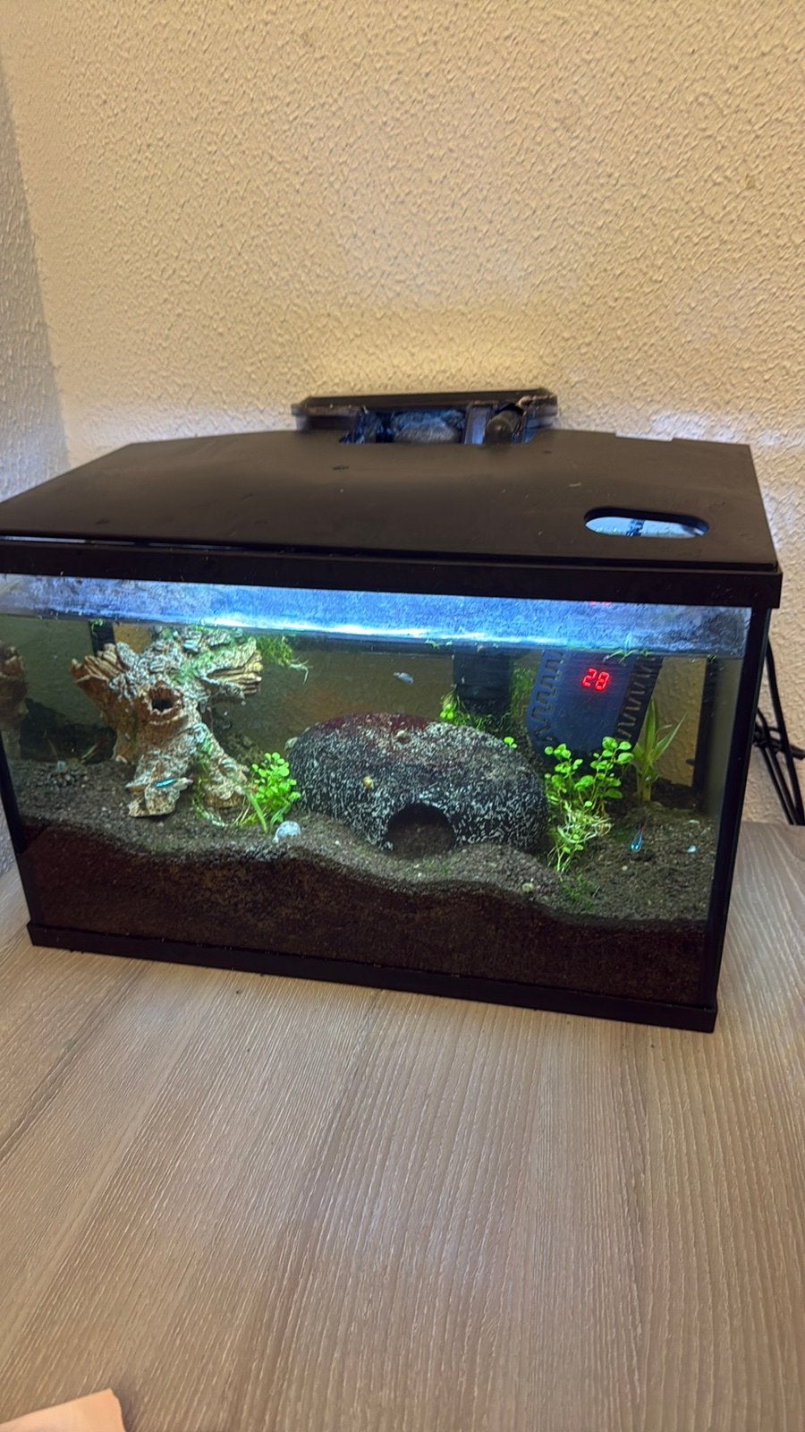 Fully set up fish tank with fish, Dieren en Toebehoren, Ophalen, Zo goed als nieuw, Leeg aquarium