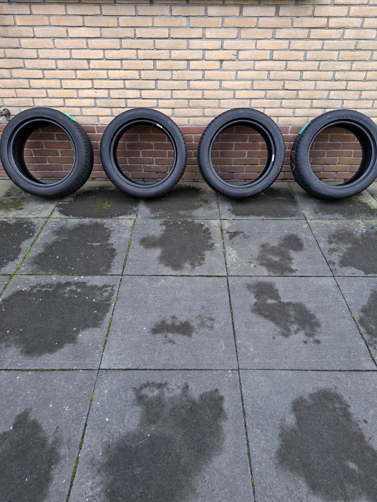 Winterbanden Gislaved Eurofrost 6 205-50-17, Ophalen, Gebruikt, 17 inch, Band(en)