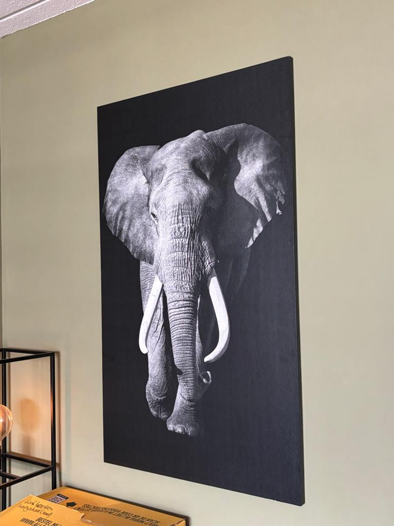 Groot kunstwerk olifant zwart-wit 118x70cm, Huis en Inrichting, Woonaccessoires | Schilderijen, Tekeningen en Foto's, Ophalen