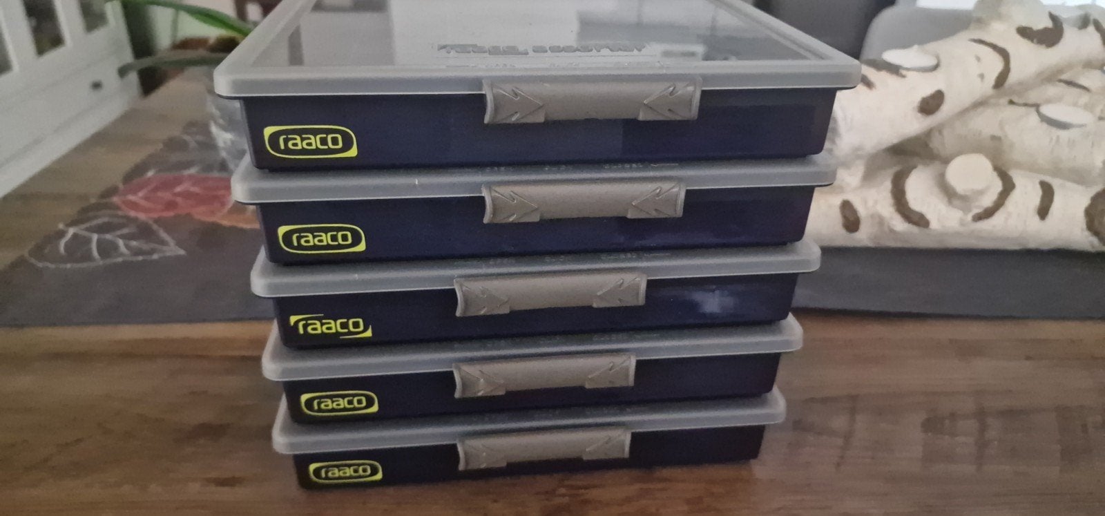 RAACO Assortimentsdoos Assorter - 18 Vaste Vakken, Doe-het-zelf en Verbouw, Ophalen of Verzenden, Zo goed als nieuw