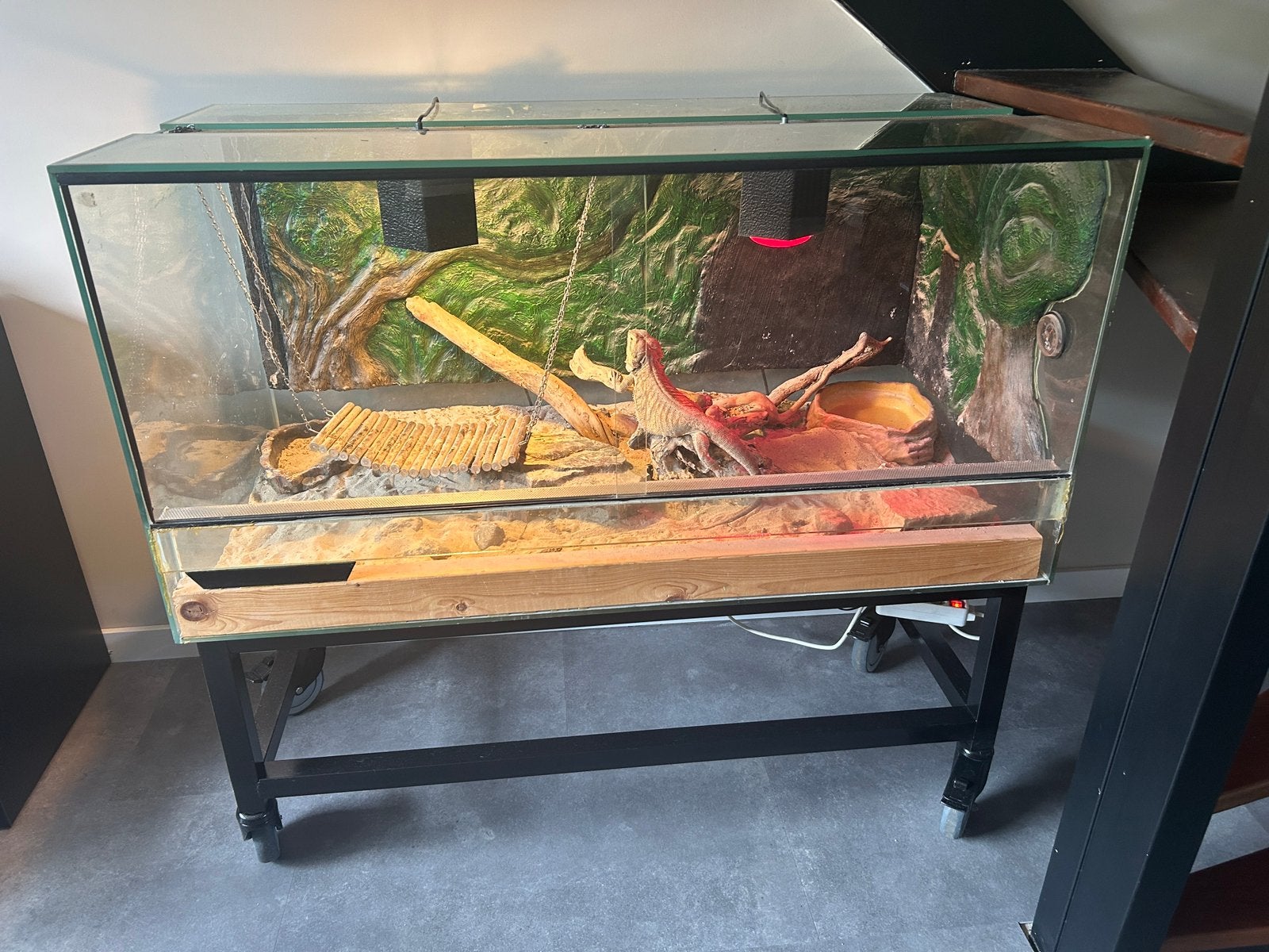 Baardagaam met terrarium, Ophalen, Zo goed als nieuw