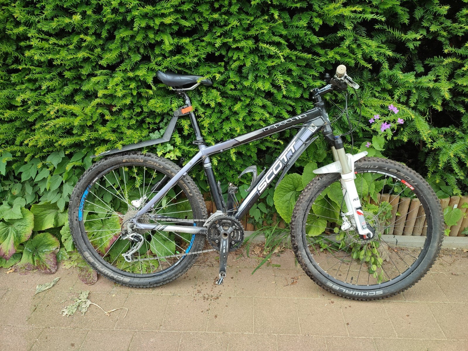 Mountainbike Scott Aspect 10, Gebruikt, Hardtail, 45 tot 49 cm, Dames
