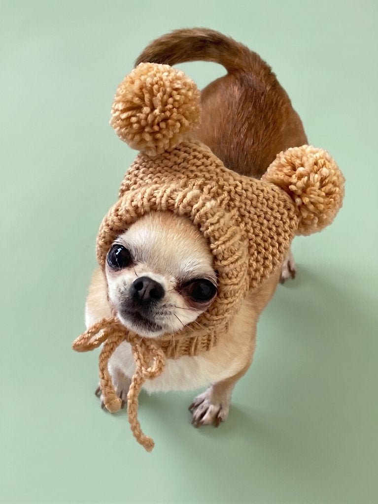 Handgemaakte gebreide muts voor honden van kleine rassen, Overige merken, Verzenden, Nieuw, Overige typen