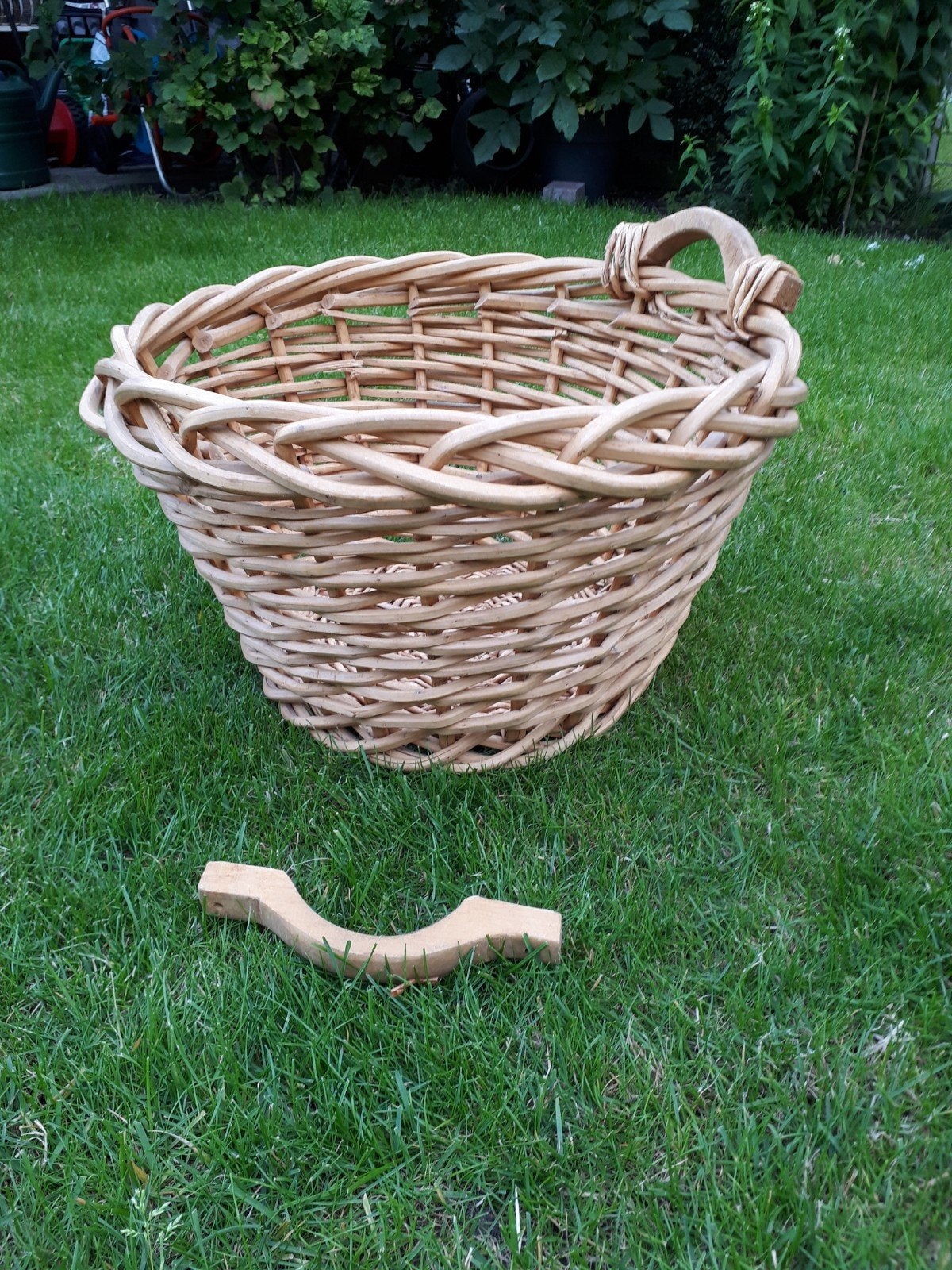 Grote planten mand/degelijk, Tuin en Terras, Ophalen, Rond