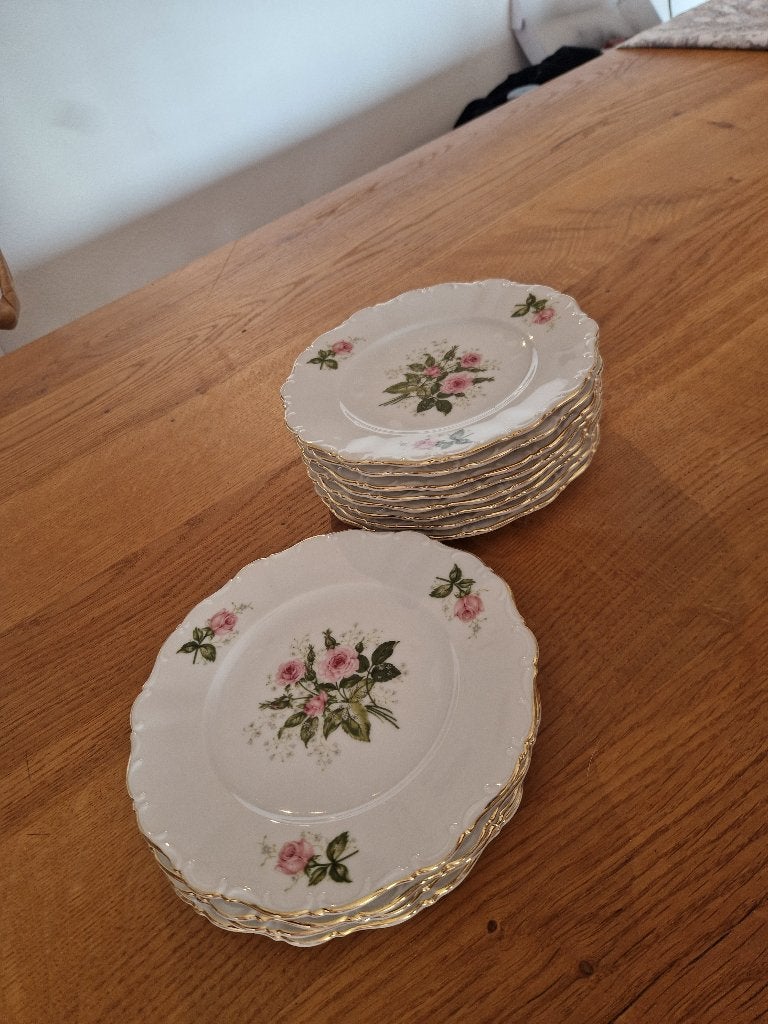 12 Seltmann Weiden Bavaria Theresia borden, zeer goede staat, Ophalen of Verzenden, Zo goed als nieuw, Porselein, Bord of Schaal