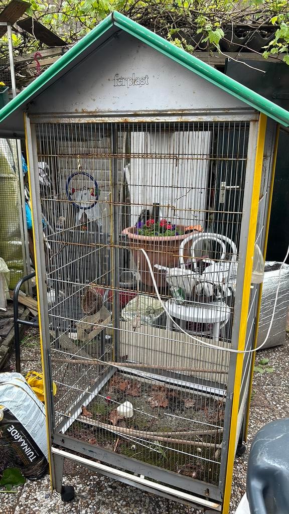 Vogelhek, Dieren en Toebehoren, Vogels | Hokken en Kooien, Ophalen, Zo goed als nieuw, Hout, Vogelkooi