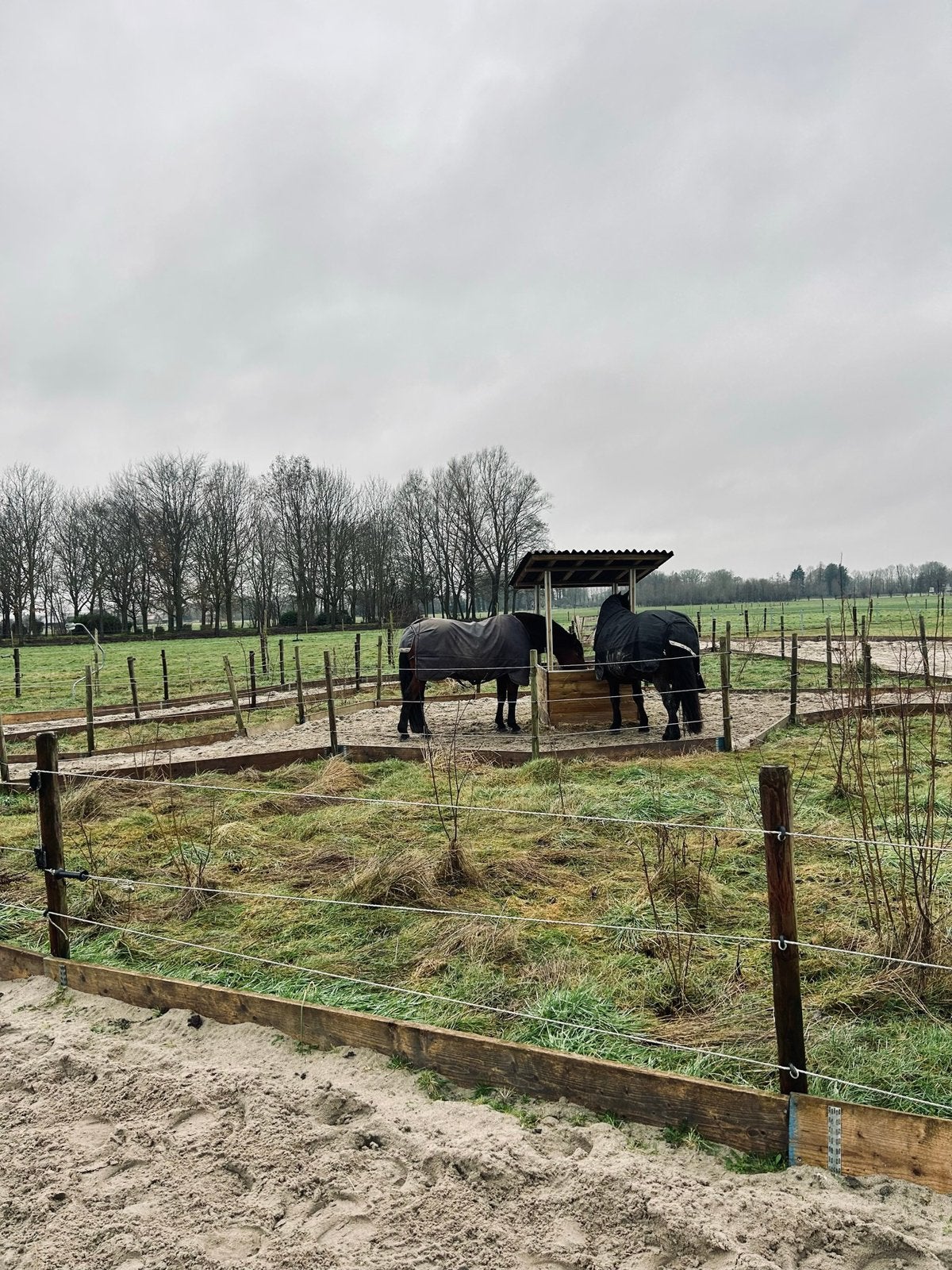 Plek vrij op onze gezellige 24/7 paddock paradise!, Stalling, 1 paard of pony