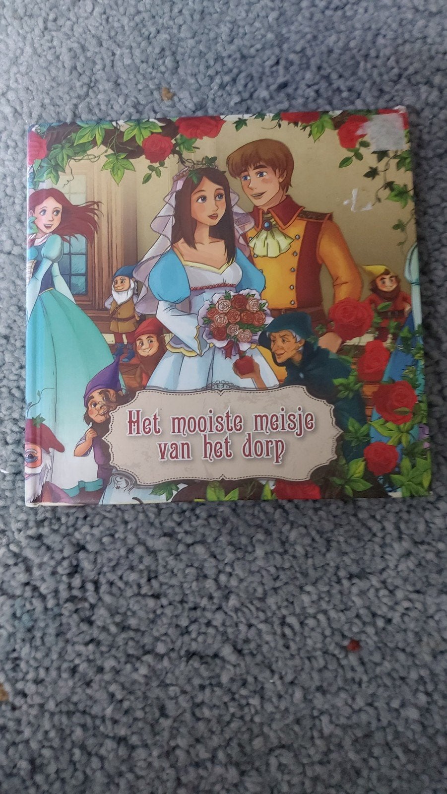 Het mooiste meisje van het dorp - Sprookjesboek, Ophalen of Verzenden, Gelezen, Onbekend