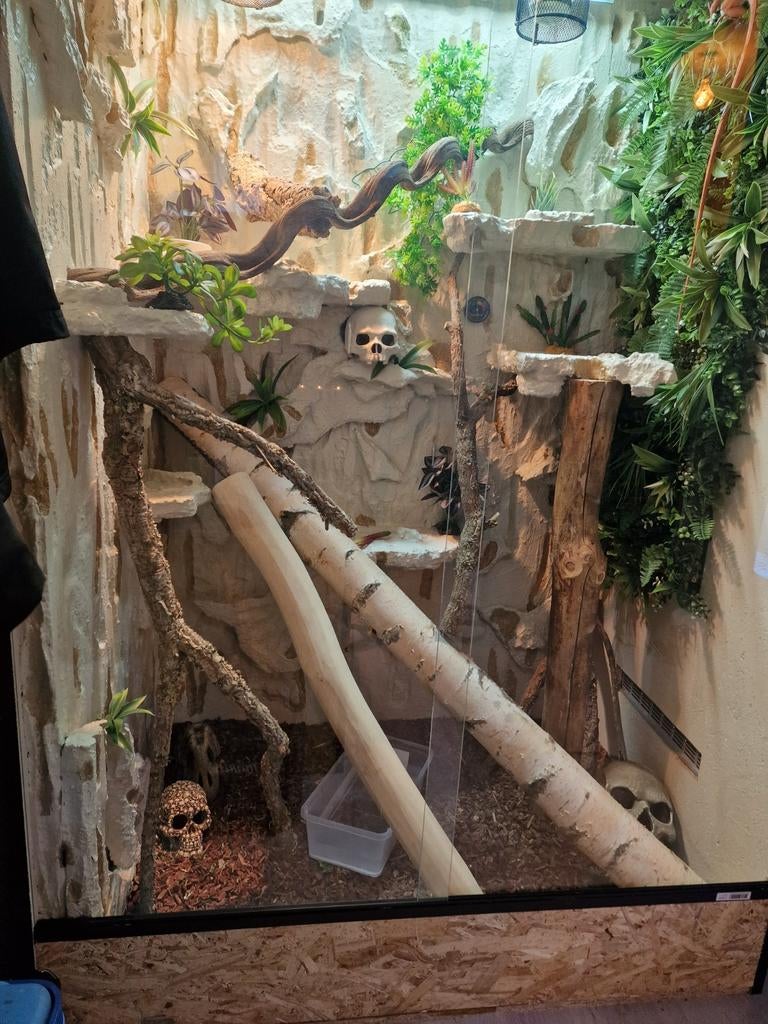 Terrarium OSB op maat – stevig, netjes, Dieren en Toebehoren, Ophalen of Verzenden, Nieuw