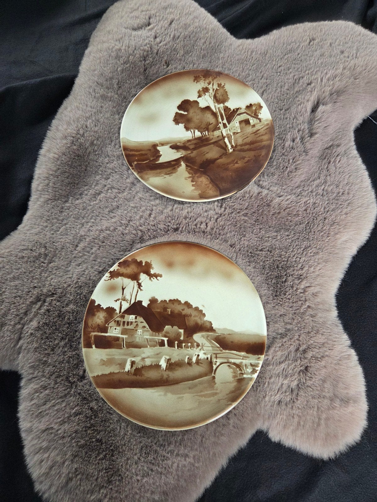 Set van 2 decoratieve borden met landschap, Ophalen of Verzenden