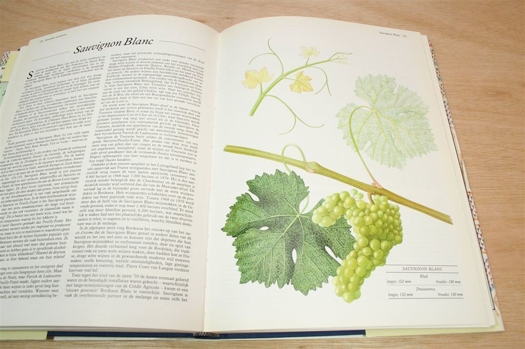 Wijnen Druiven en Wijngaarden — Wereldwijde Druiven Gids, Boeken, Ophalen of Verzenden, Zo goed als nieuw, Italië