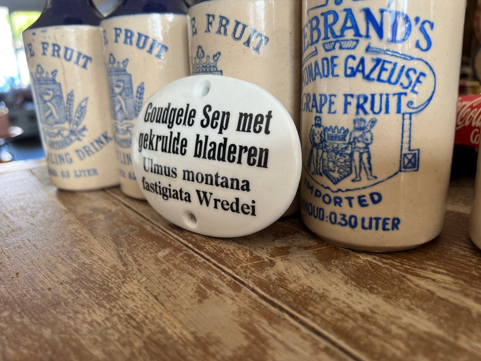 Mooi oud porseleinen plantenbordje, Antiek en Kunst, Curiosa en Brocante, Ophalen of Verzenden