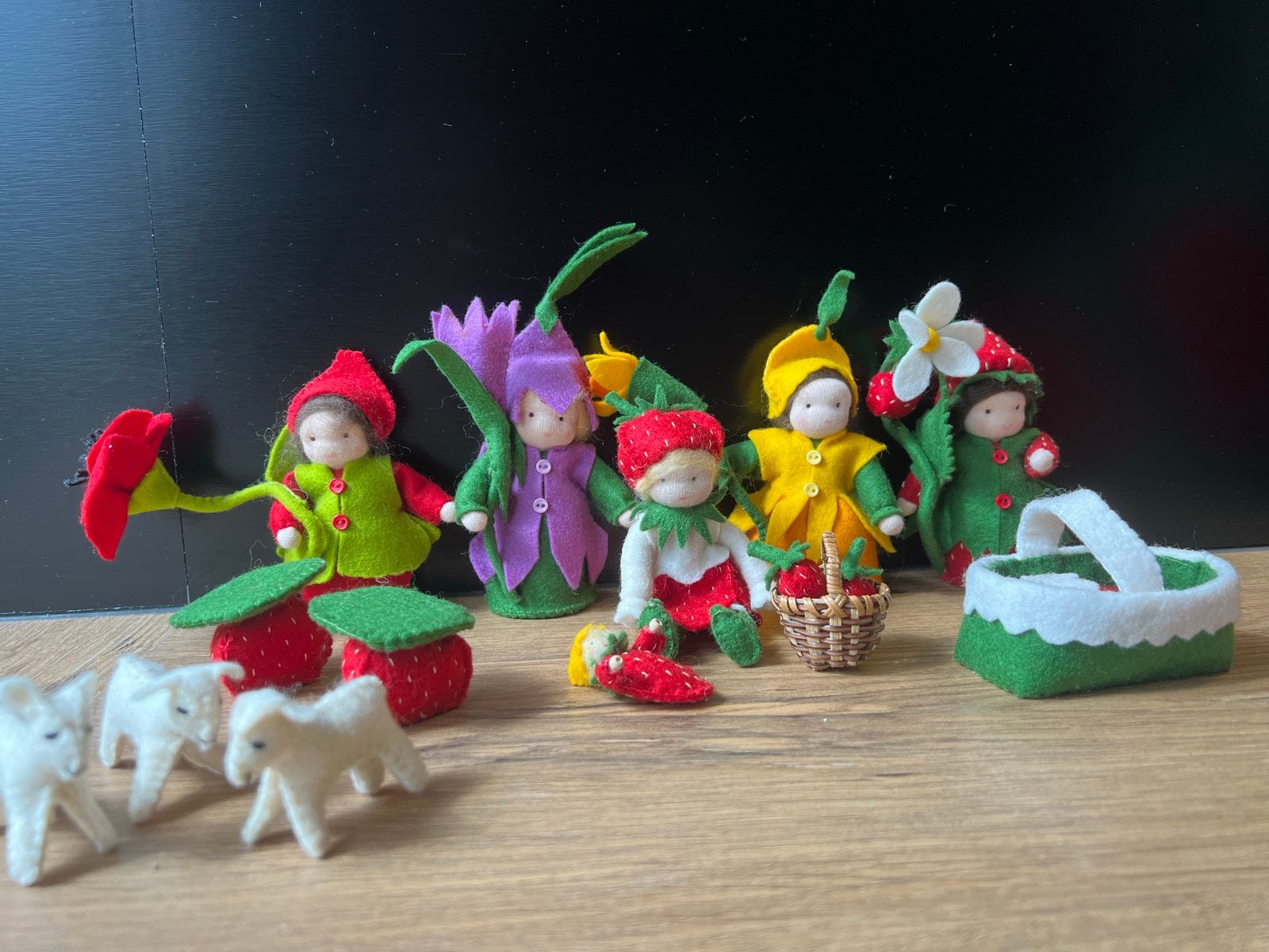 Handgemaakte vilten poppetjes en accessoires, Ophalen of Verzenden, Zo goed als nieuw, Overige typen