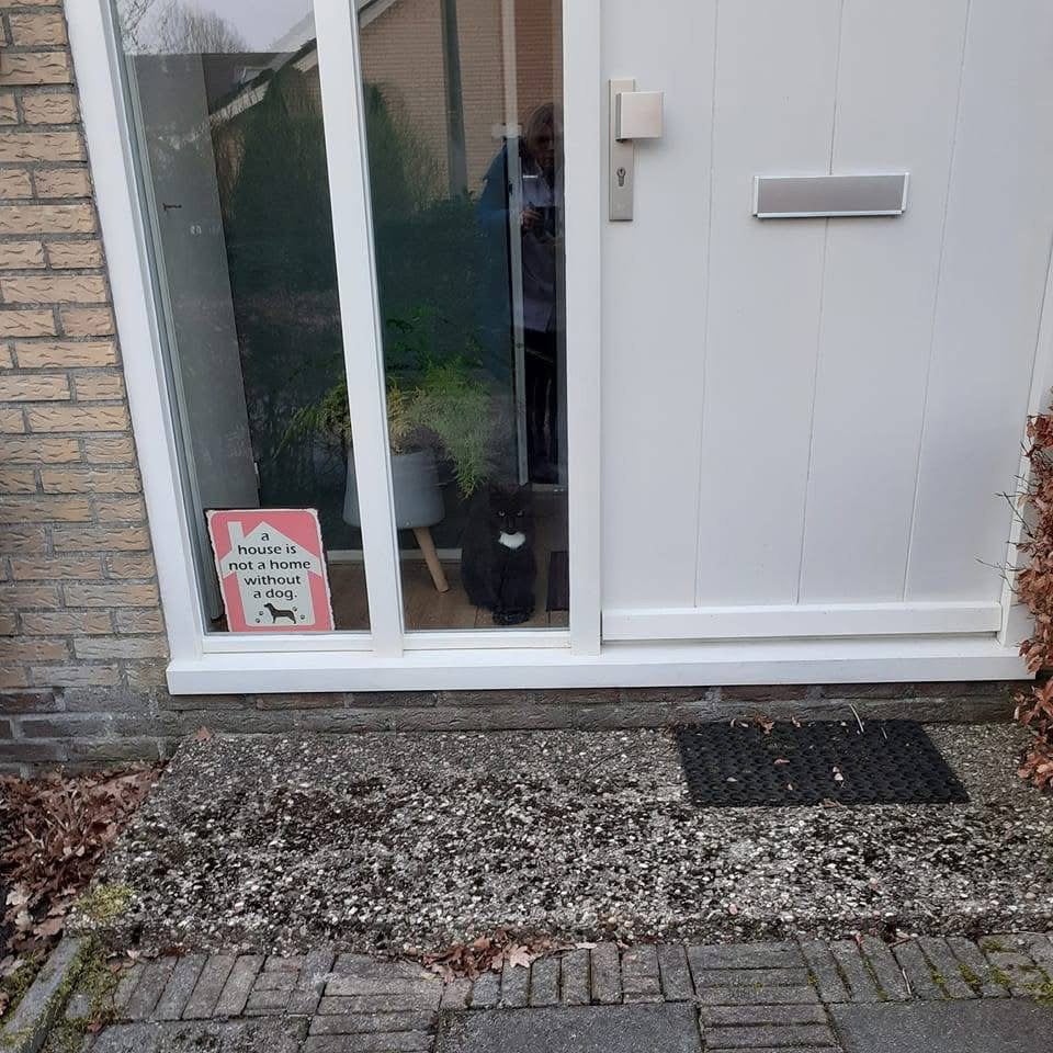 Hardhouten voordeur, Ophalen, Gebruikt, 80 tot 100 cm, Buitendeur