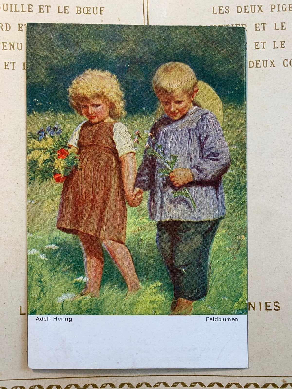 1918 Feldblumen - Veldbloemen (DD), Ophalen of Verzenden, Voor 1920, Gelopen, Kinderen