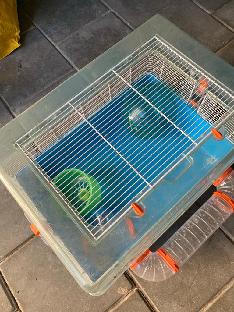 Hamsterhokje, Ophalen, Zo goed als nieuw, Overige typen