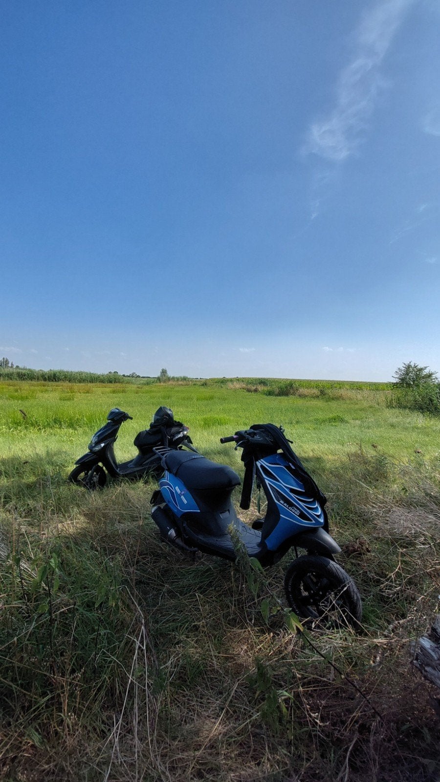 MOET WEG! Custom piaggio zip 80cc, Fietsen en Brommers, Ophalen, Zip, Zo goed als nieuw, 80 cc