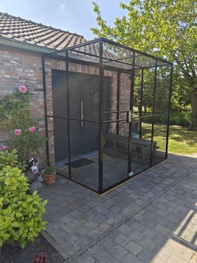 Aluminium kattenren. Maatwerk. Montage mogelijk, Ophalen of Verzenden, Nieuw