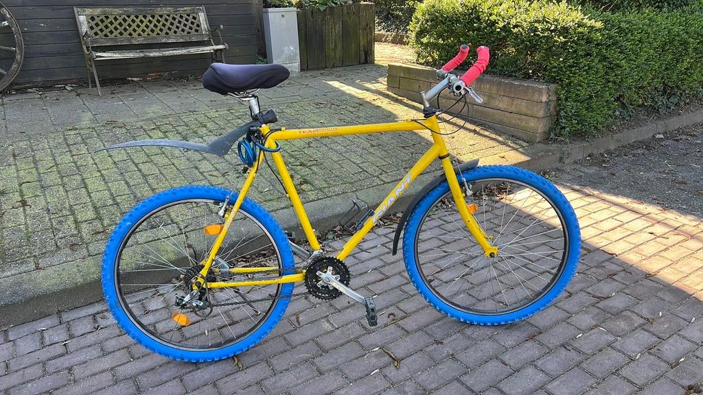 Mountainbike Giant, Ophalen, Gebruikt, 26 inch, Giant