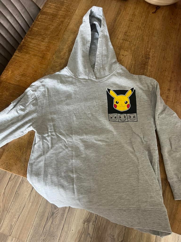 Leuke hoody, Ophalen of Verzenden, Zo goed als nieuw, Jongen of Meisje, Trui of Vest
