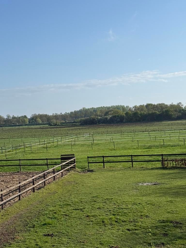 Stalling, Stalling, 1 paard of pony