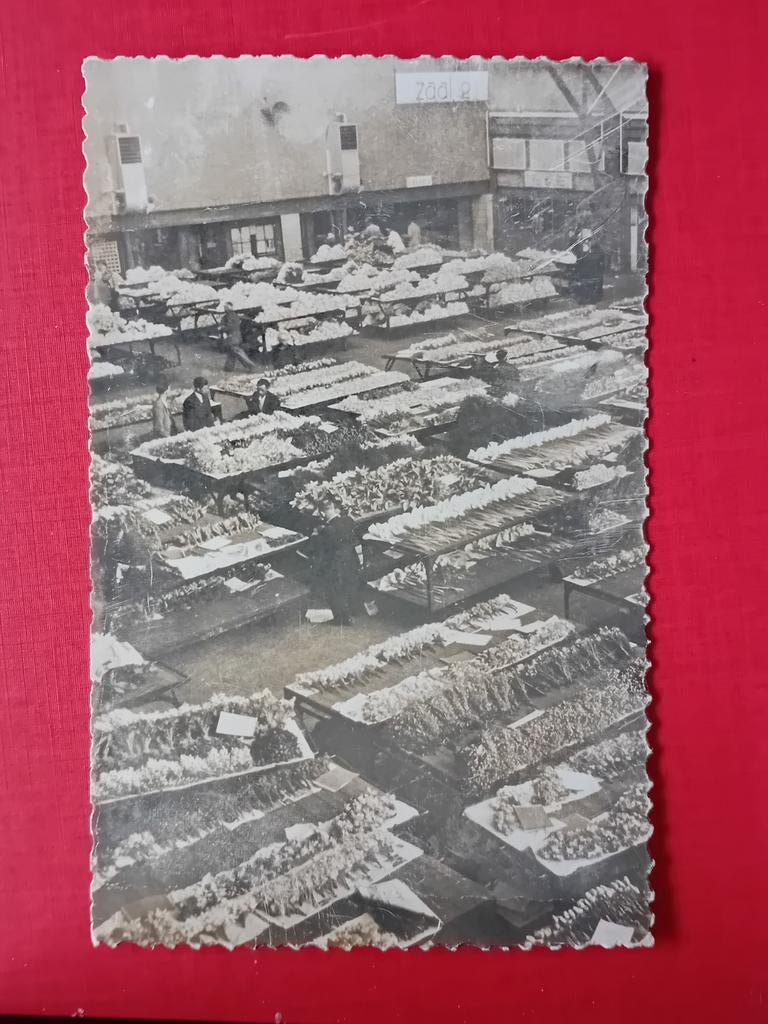 Ansichtkaart Aalsmeer, Verzamelen, Ansichtkaarten | Nederland, Ophalen of Verzenden, Noord-Holland