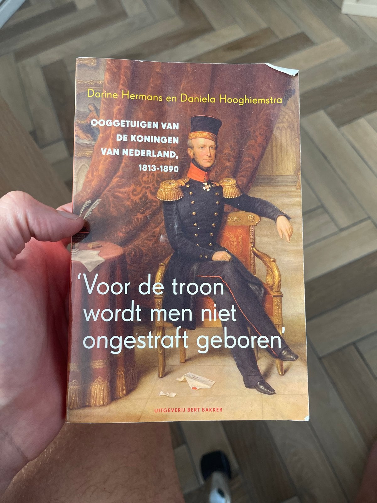 Ooggetuigen van de Koningen van Nederland, 1813-1890, Ophalen of Verzenden, 19e eeuw, Gelezen