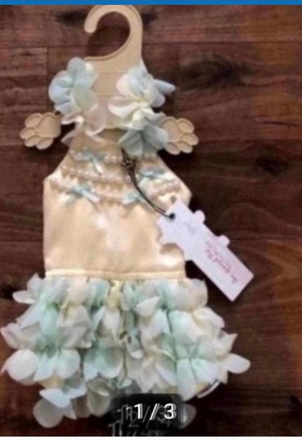 Jurkje merk ispett €1495, Ophalen of Verzenden, Nieuw