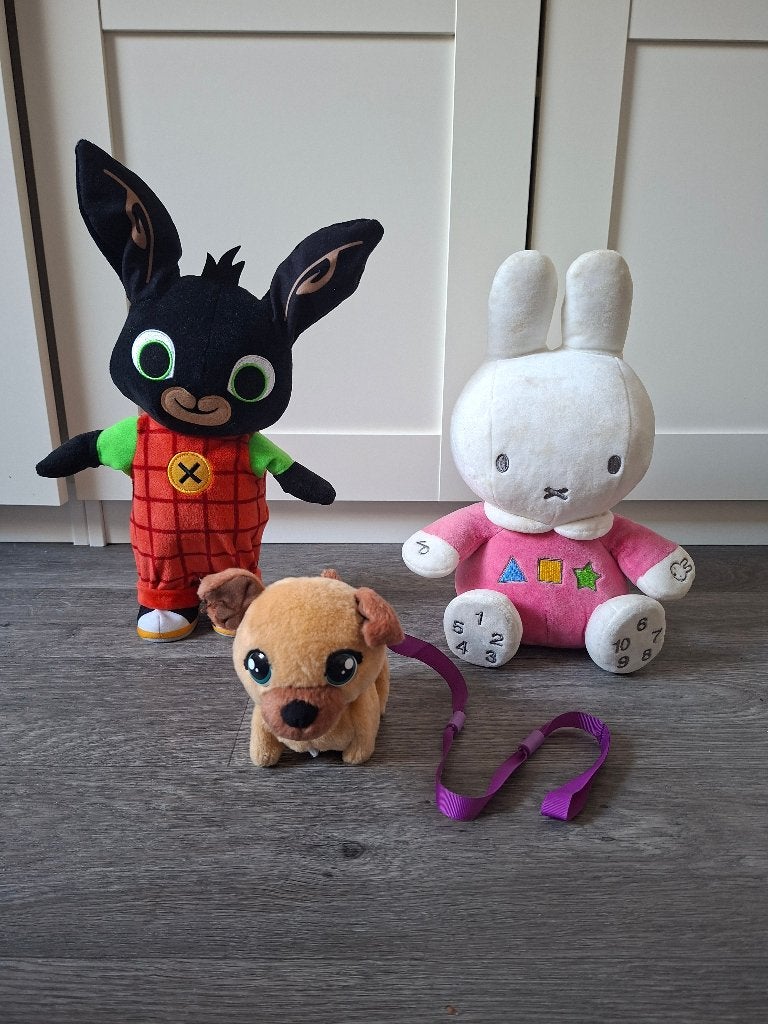 Pluchen speelgoed, Kinderen en Baby's, Ophalen, Zo goed als nieuw, Overige typen