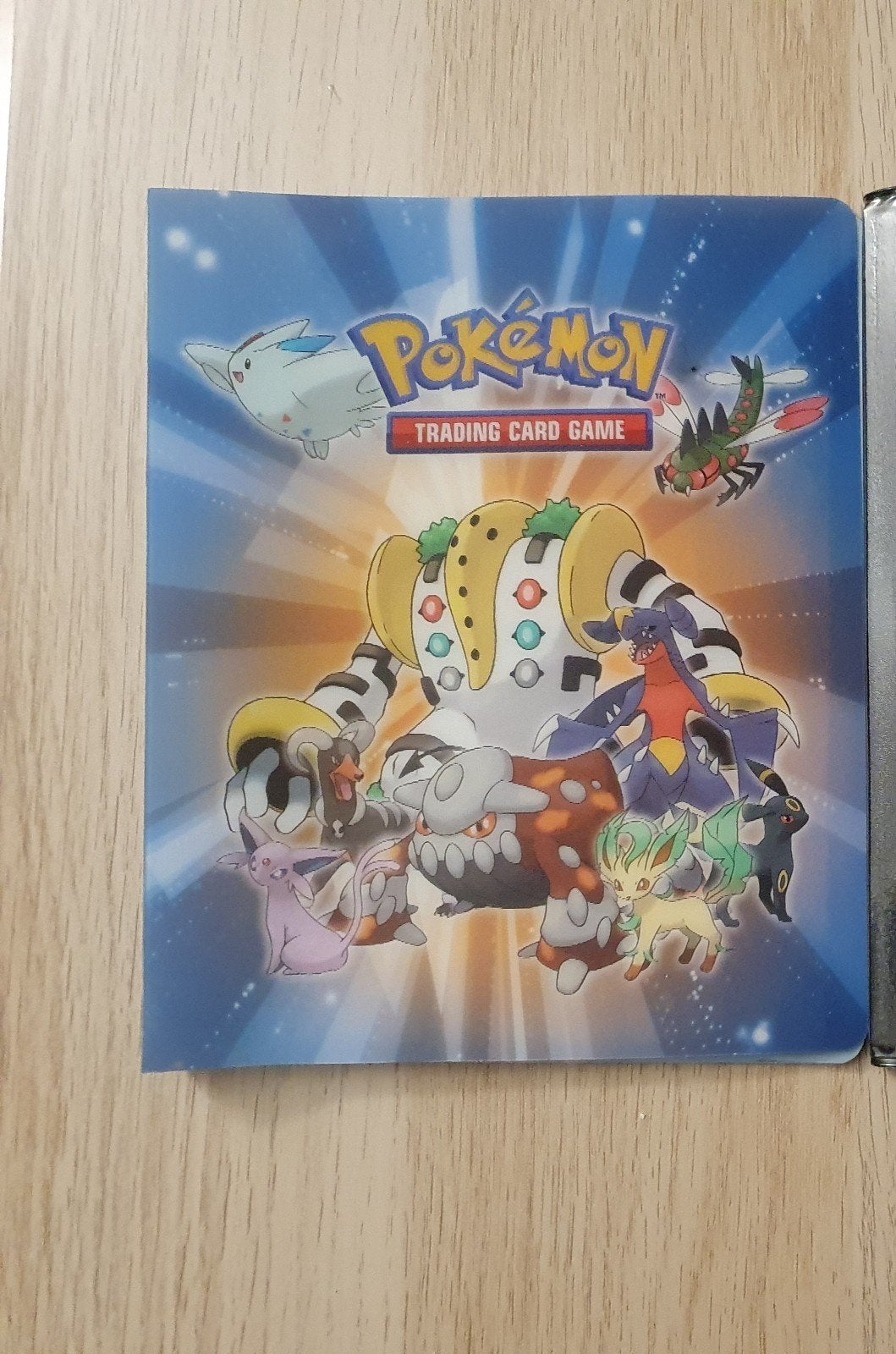 Pokemon map, Ophalen of Verzenden, Zo goed als nieuw